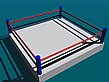 boxingring1.gif